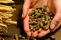 Wood Eaton pellet boiler
